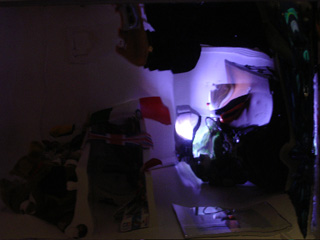 Untitled 1(Mylar Photos), 2006